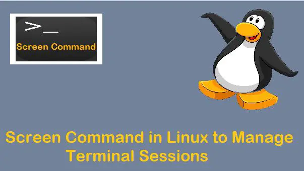 Screen-Command-Session-Linux