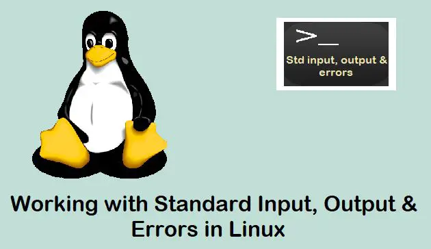 Working-with-Standard-Input-Output-Errors-Linux