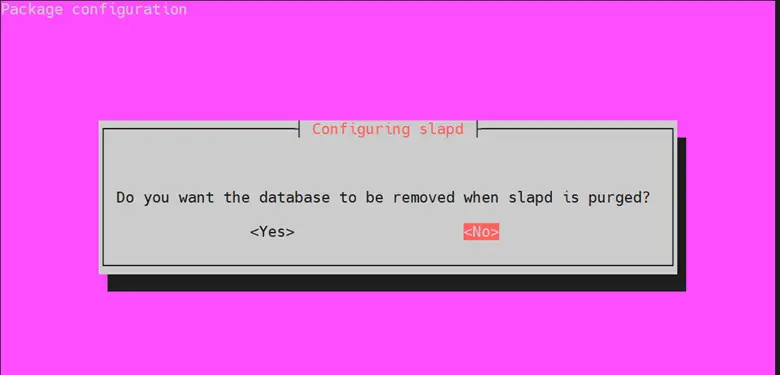 Choose-No-Skip-Database-Removal-Slapd-Ubuntu