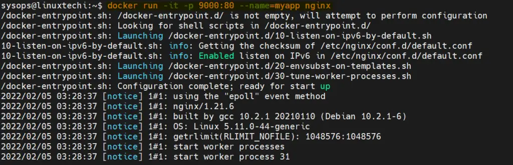 Docker-Run-Command-Example