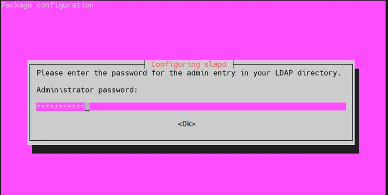 Enter-Administrator-Password-Ldap-Ubuntu